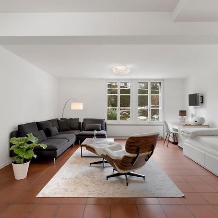 Cozy Boutique Apartment At Mt. Rigi Goldau Exteriér fotografie