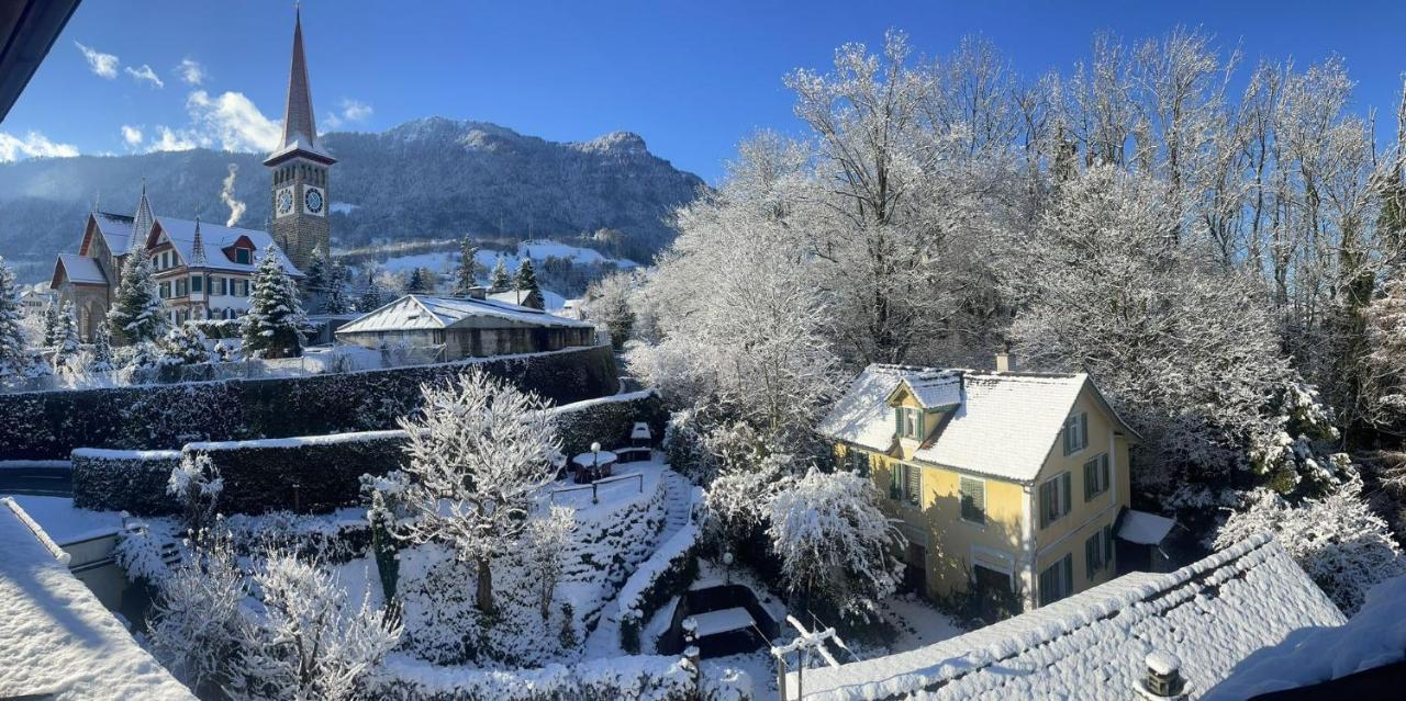 Cozy Boutique Apartment At Mt. Rigi Goldau Exteriér fotografie