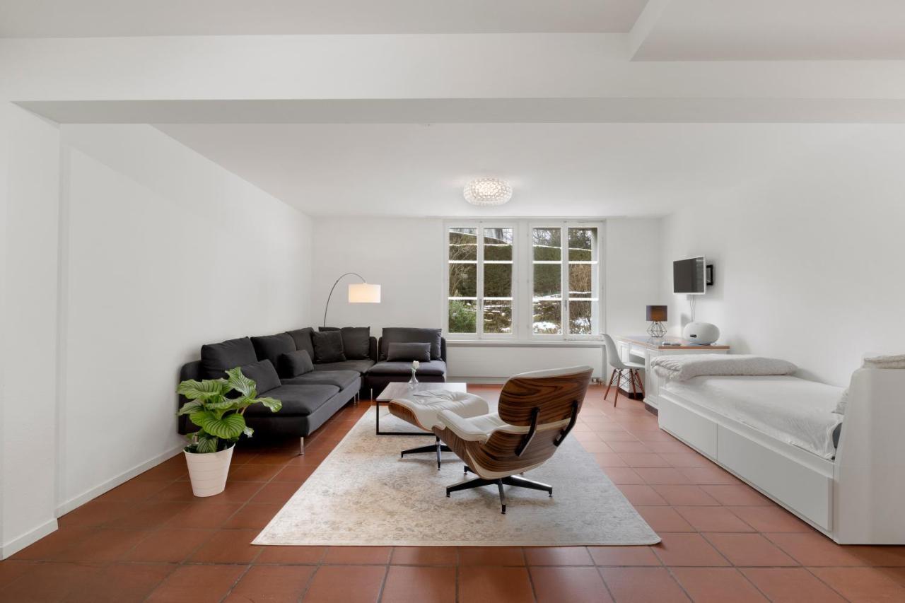 Cozy Boutique Apartment At Mt. Rigi Goldau Exteriér fotografie